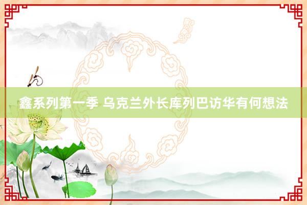 鑫系列第一季 乌克兰外长库列巴访华有何想法