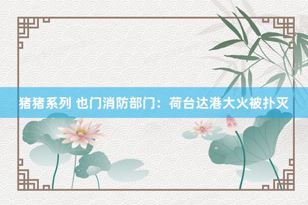 猪猪系列 也门消防部门：荷台达港大火被扑灭