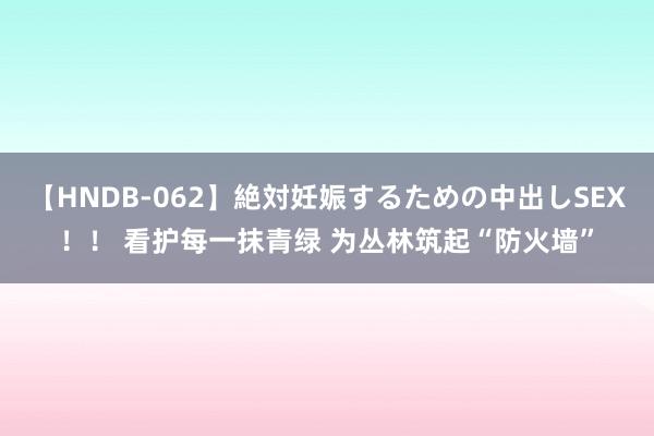 【HNDB-062】絶対妊娠するための中出しSEX！！ 看护每一抹青绿 为丛林筑起“防火墙”