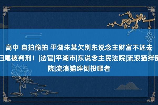高中 自拍偷拍 平湖朱某欠别东说念主财富不还去赌博，扫尾被判刑！|法官|平湖市|东说念主民法院|流浪猫绊倒投喂者