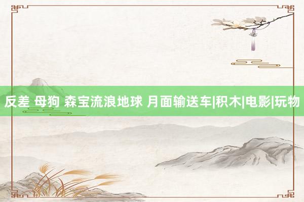 反差 母狗 森宝流浪地球 月面输送车|积木|电影|玩物