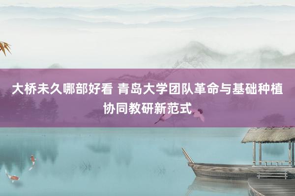 大桥未久哪部好看 青岛大学团队革命与基础种植协同教研新范式