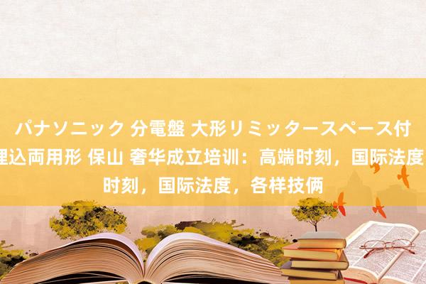 パナソニック 分電盤 大形リミッタースペース付 露出・半埋込両用形 保山 奢华成立培训：高端时刻，国际法度，各样技俩