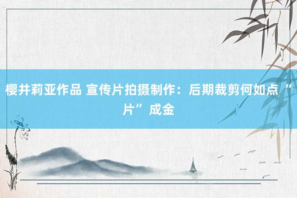 樱井莉亚作品 宣传片拍摄制作：后期裁剪何如点 “片” 成金