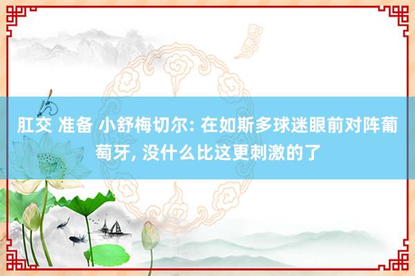 肛交 准备 小舒梅切尔: 在如斯多球迷眼前对阵葡萄牙， 没什么比这更刺激的了