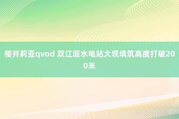 樱井莉亚qvod 双江涎水电站大坝填筑高度打破200米