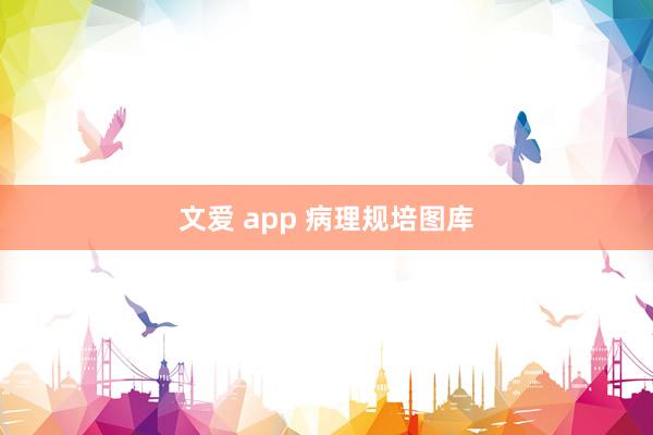 文爱 app 病理规培图库